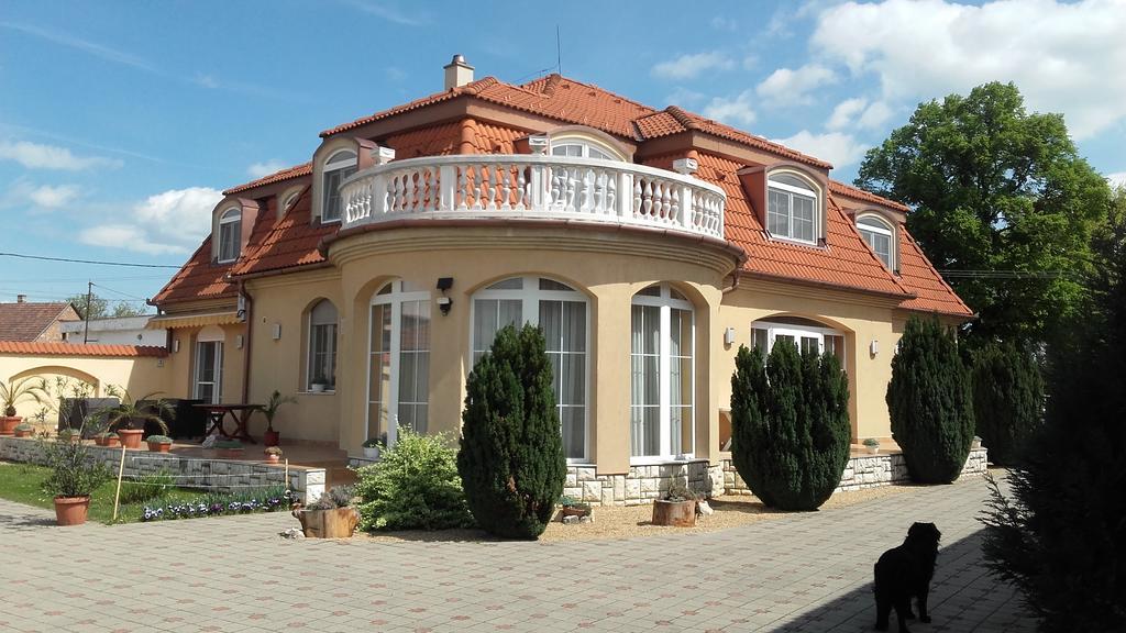 نايغكانيشا Ambrozia Guesthouse المظهر الخارجي الصورة